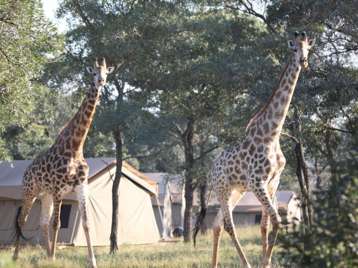 Unyati Safari Lodge Hectorspruit Exteriör bild