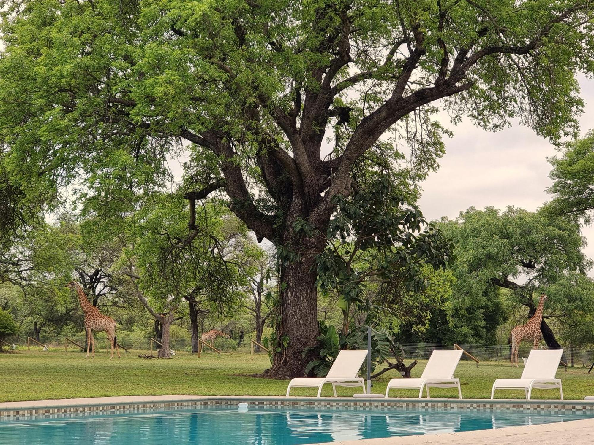 Unyati Safari Lodge Hectorspruit Exteriör bild