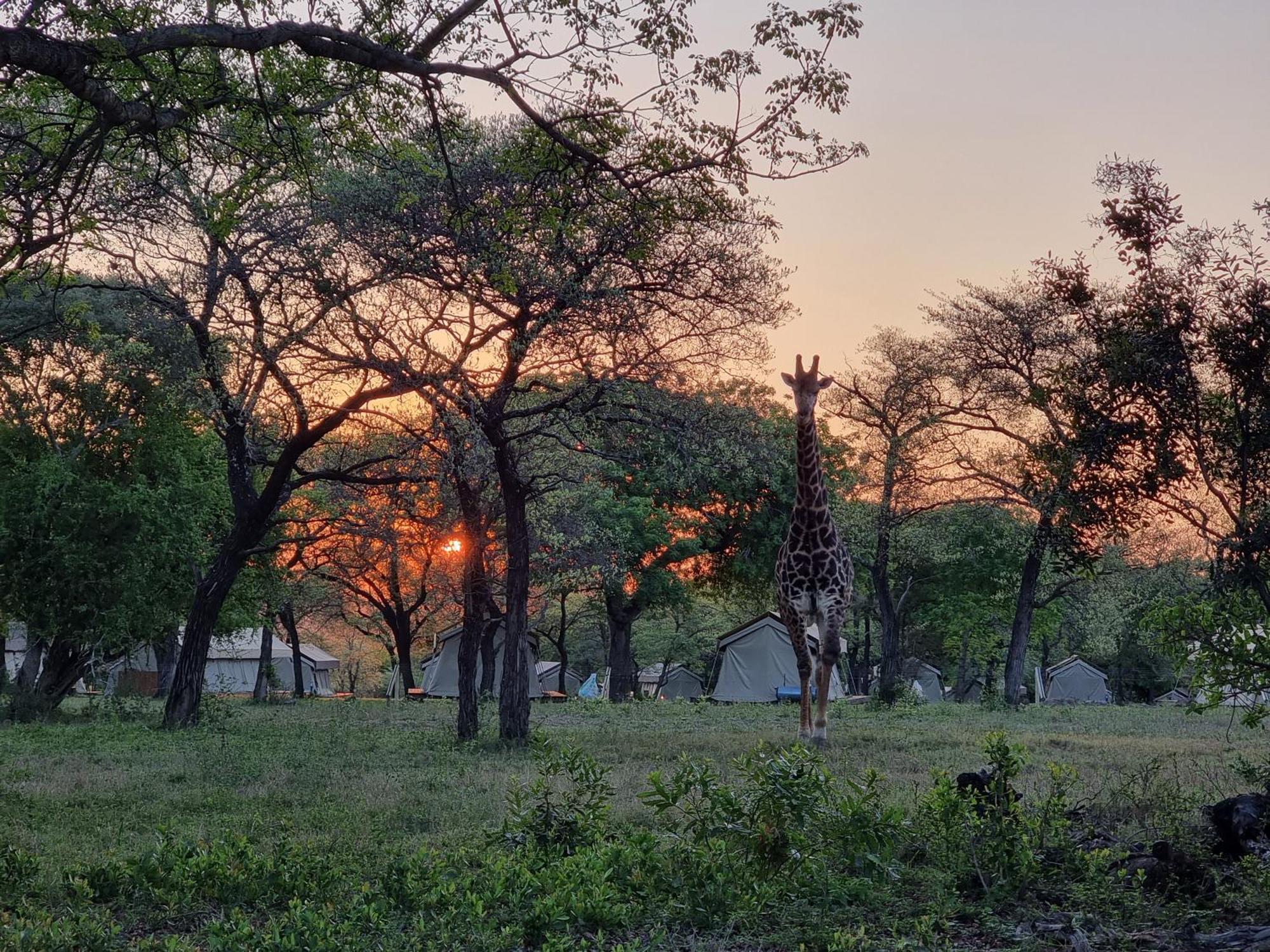 Unyati Safari Lodge Hectorspruit Exteriör bild