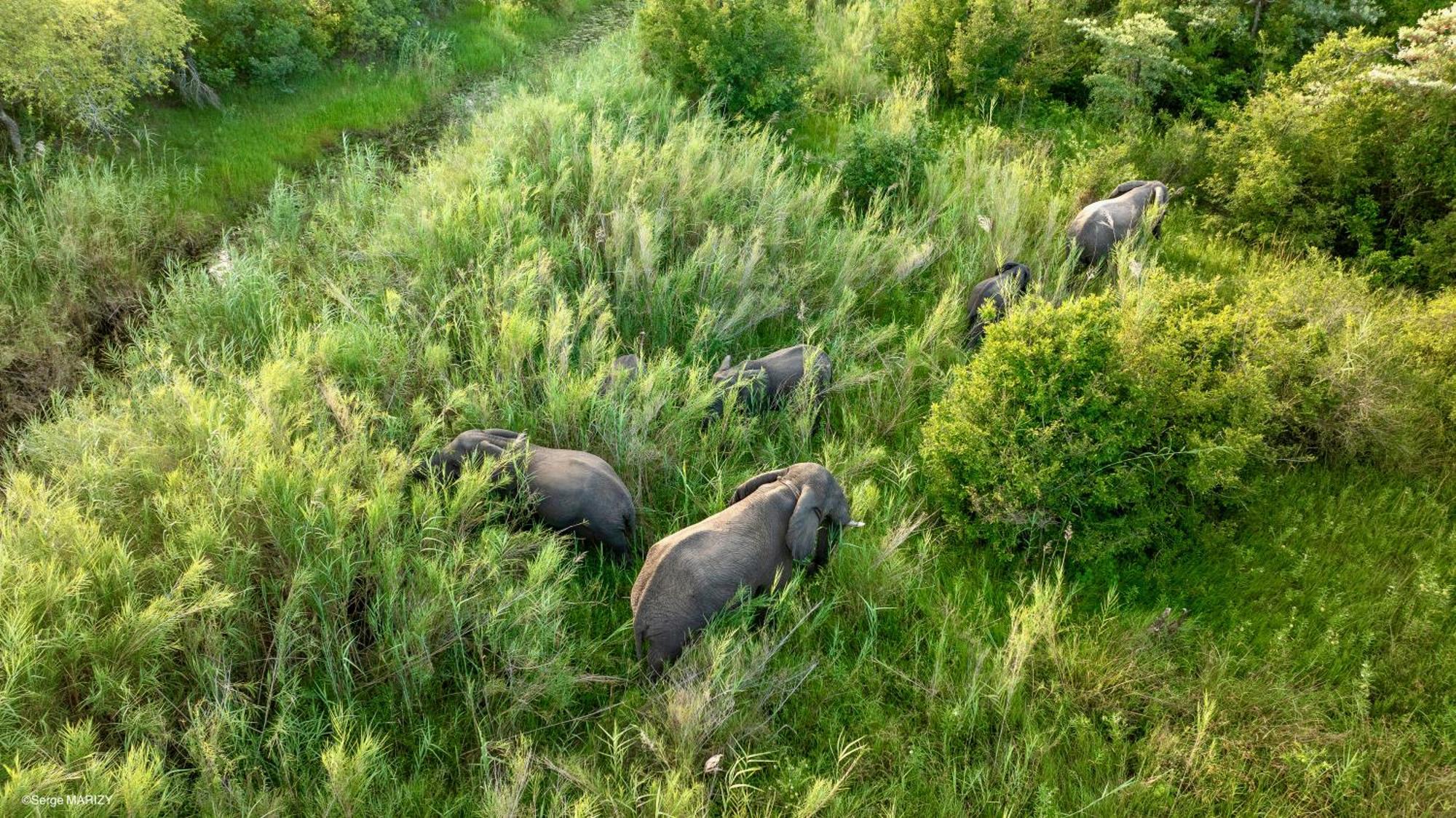 Unyati Safari Lodge Hectorspruit Exteriör bild